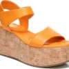 Xmhaitao.shop0a2ef61ee1 1