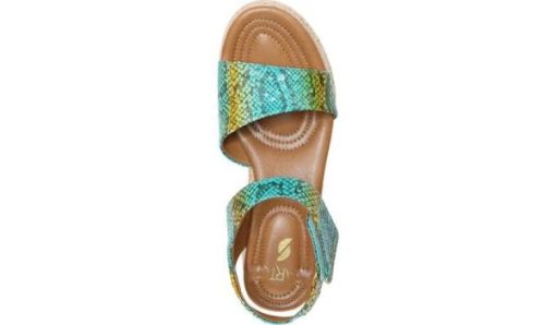 Xmhaitao.shop0dec2a672c 1