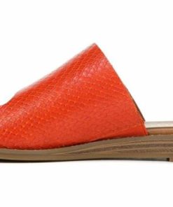 Xmhaitao.shop263bf13c25 5