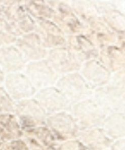 Xmhaitao.shope9ba3d505c 10
